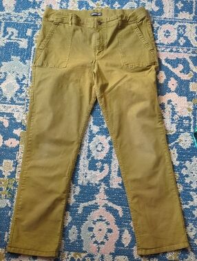 Toad&Co Miraculous Earthworks Pants In Coyote- Size 14
